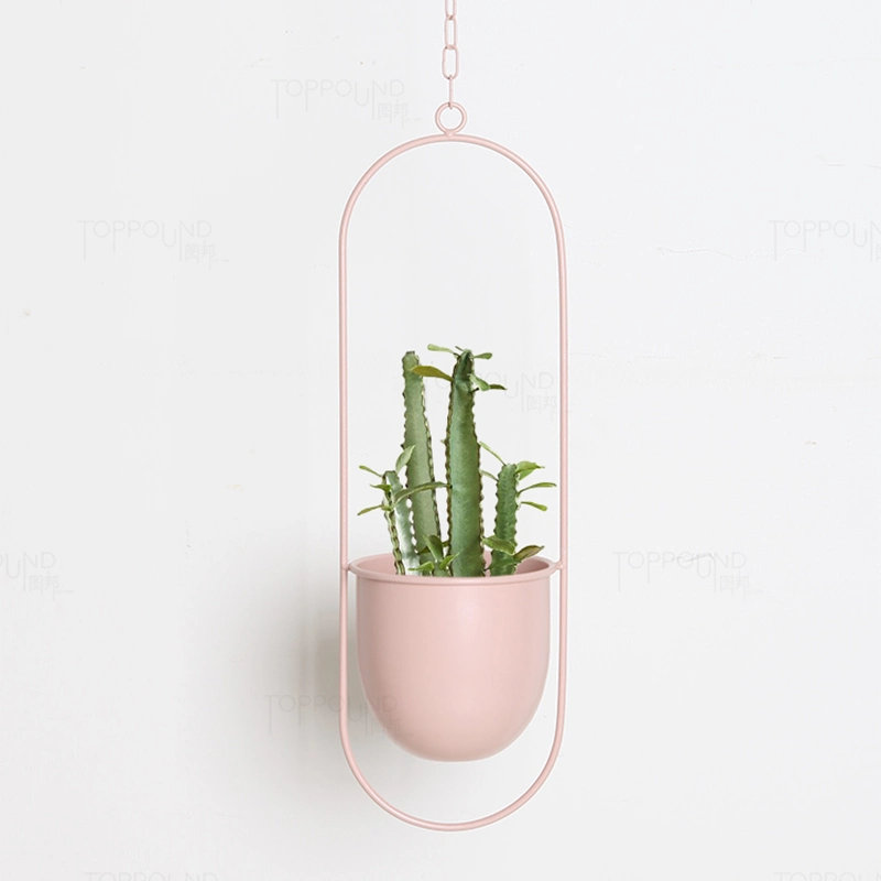 Hanging Planters for Indoor & Outdoor Plant with 6